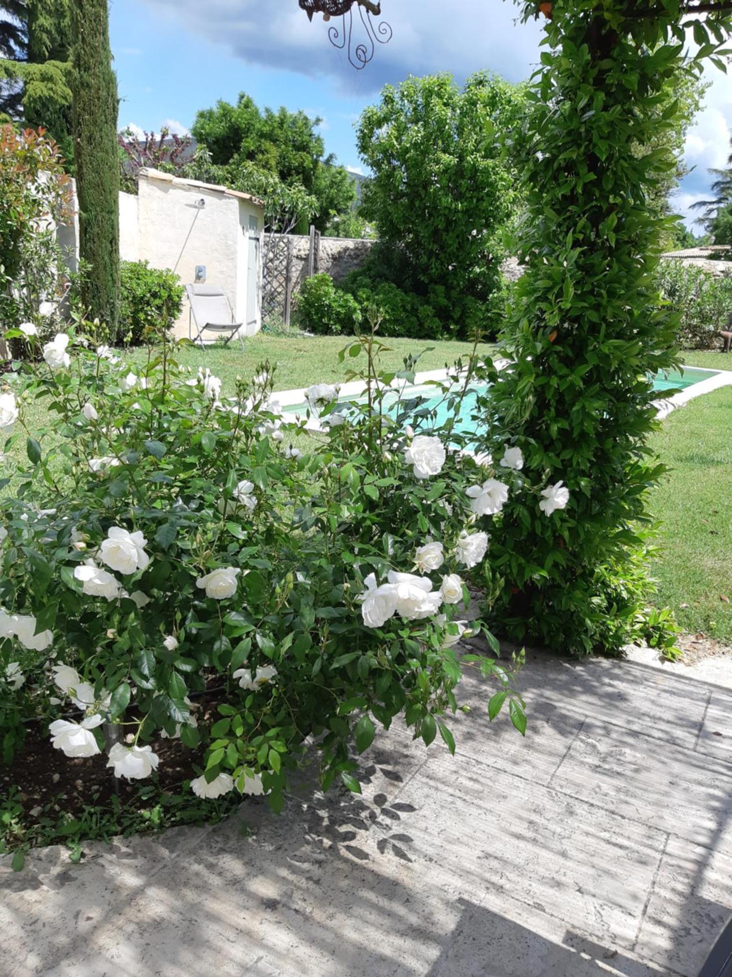 Le Chat Sur Le Toit Lourmarin Exterior foto