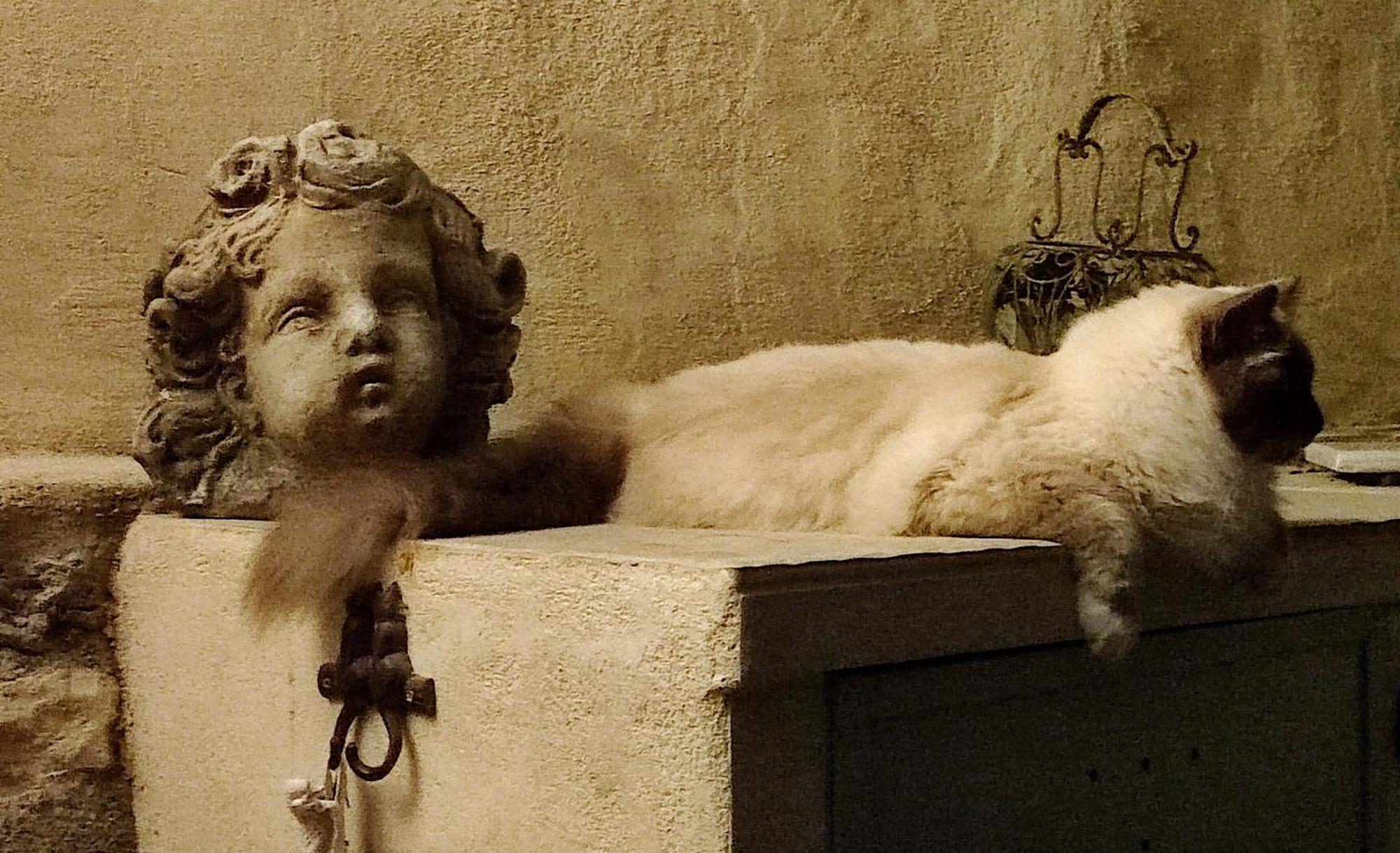 Le Chat Sur Le Toit Lourmarin Exterior foto
